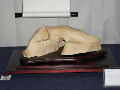 Un suiseki raffigurante un maiale accovacciato, scoperto dal 76enne barese Vito Di Venere 